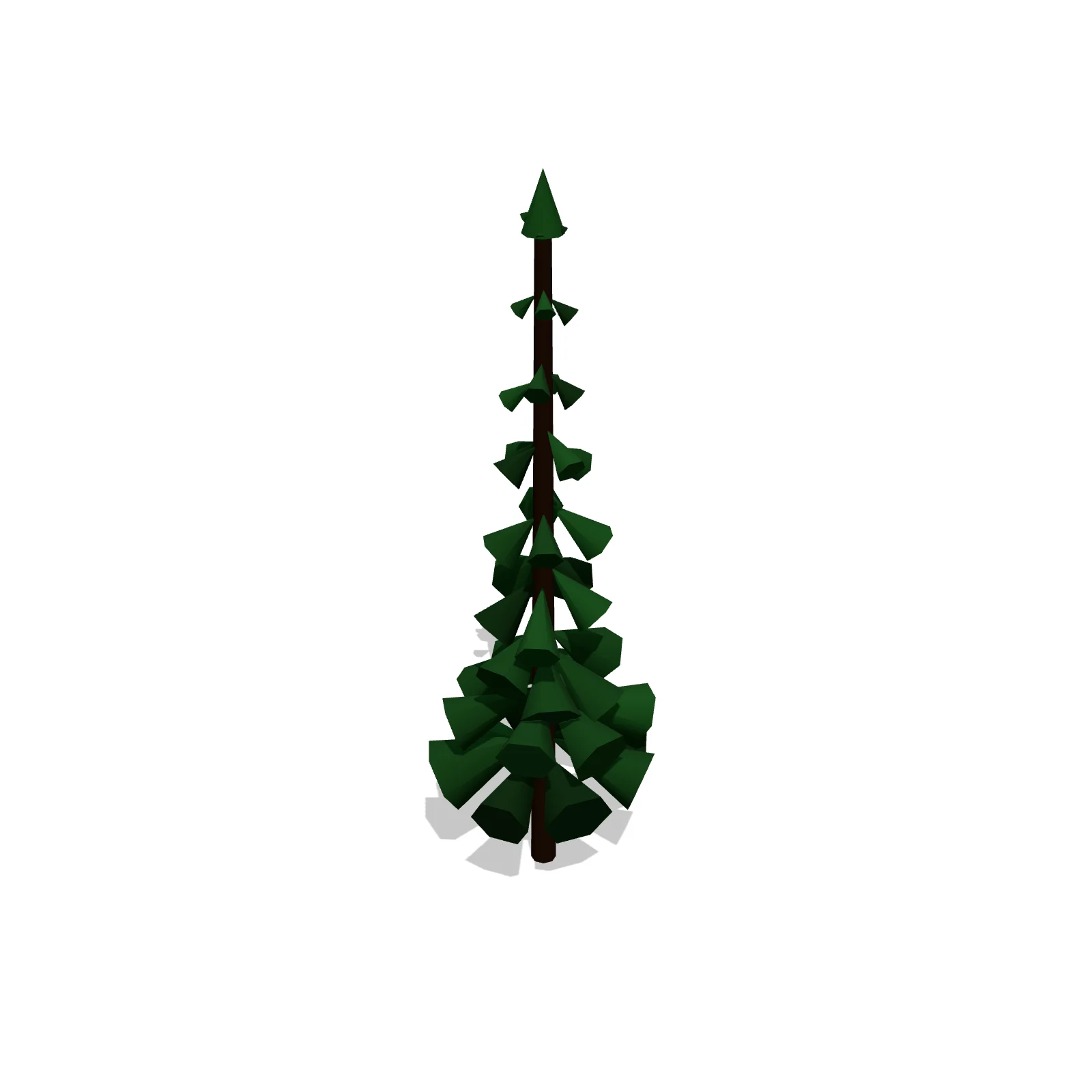 Large Evergreen — 3D preview